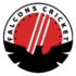 ACF_falcons_logo